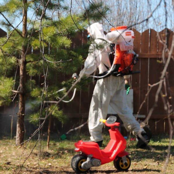 Обработка участка от клещей в Пушкино?